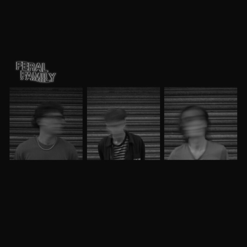 Alpaca Presents | Feral Family + Support at Crofters Rights