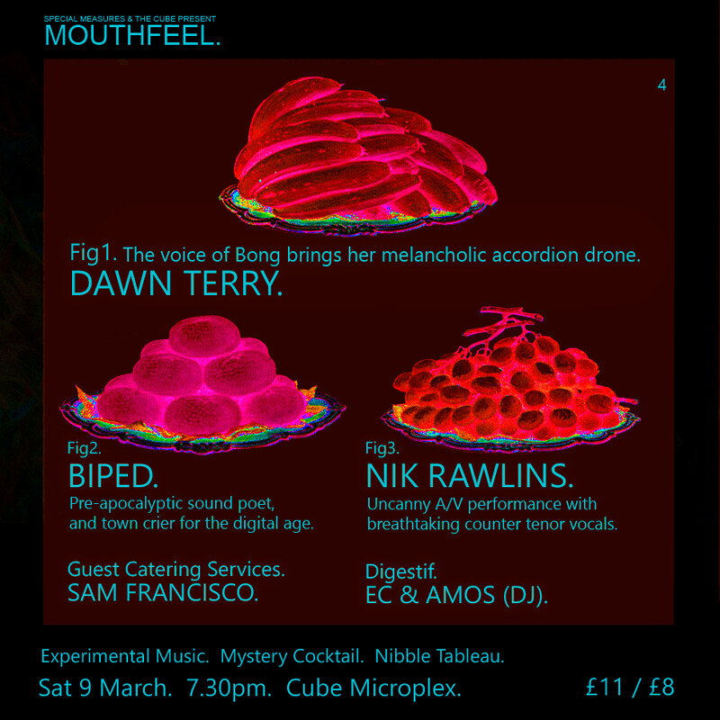 Dawn Terry, BIPED, Nik Rawlins at The Cube