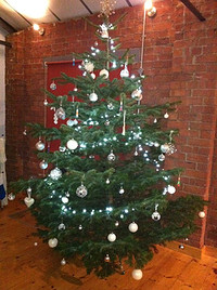 Christmas Trees For Sale at Arnos Vale Cemetery