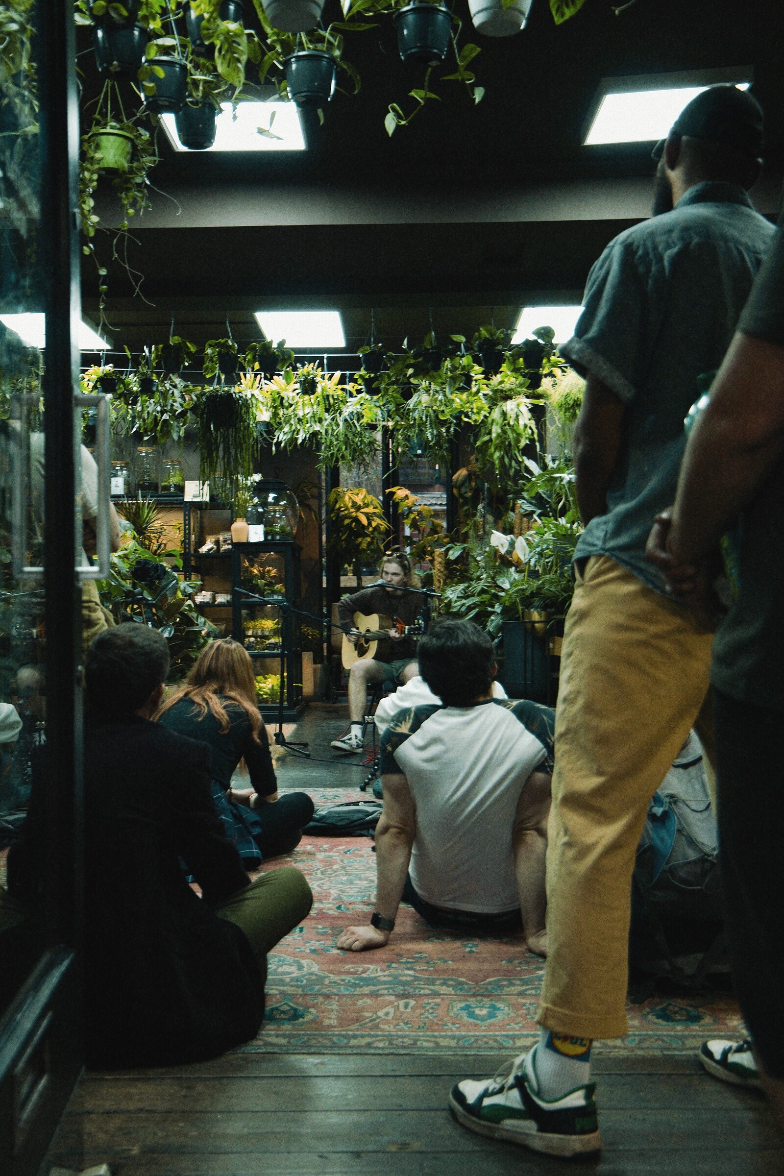 GreenStage Session - Wild Leaf at Wild Leaf Bristol