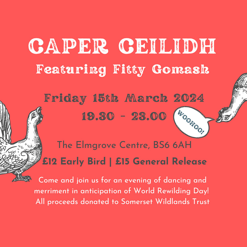 Ceilidh for rewilding at The Elmgrove Centre
