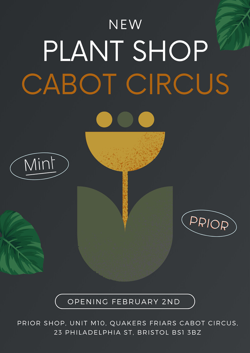Mint Plants Launch at Prior Shop at Prior Shop, Cabot Circus