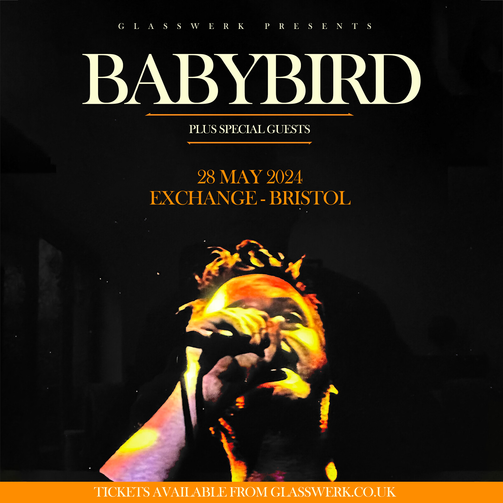 Babybird at The Lanes