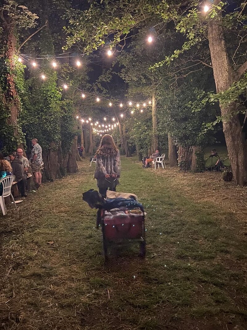 TANGLED ROOTS FOLK FESTIVAL at Radford Mill Organic Farm