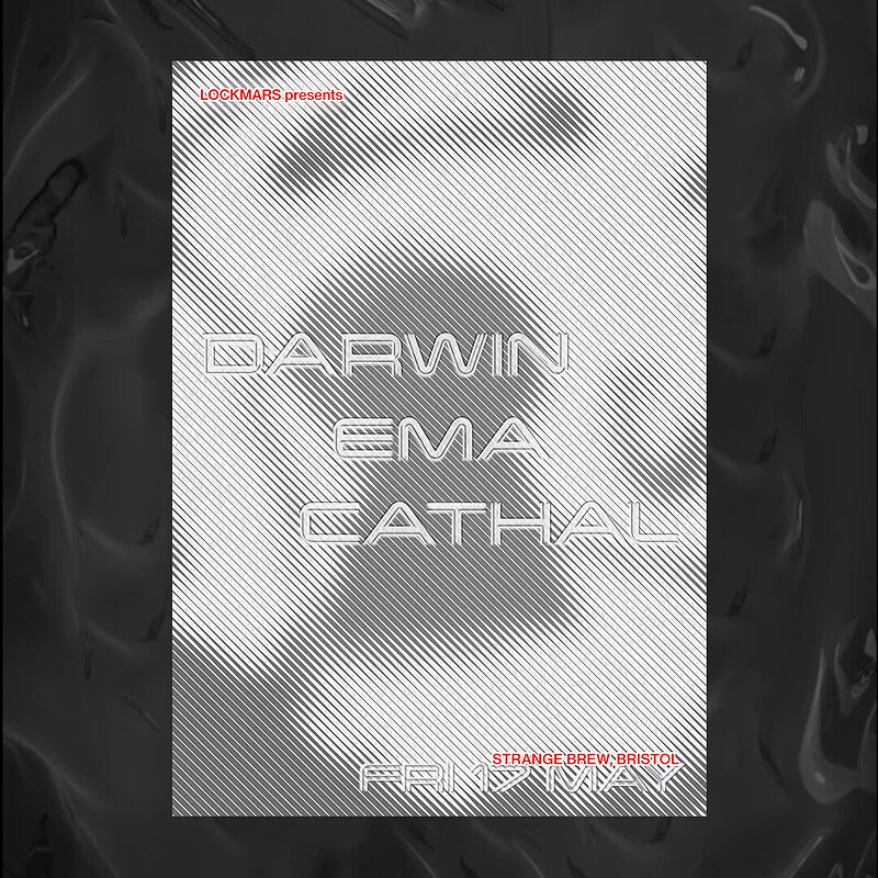 LOCKMARS: Darwin, EMA, Cathal at Strange Brew