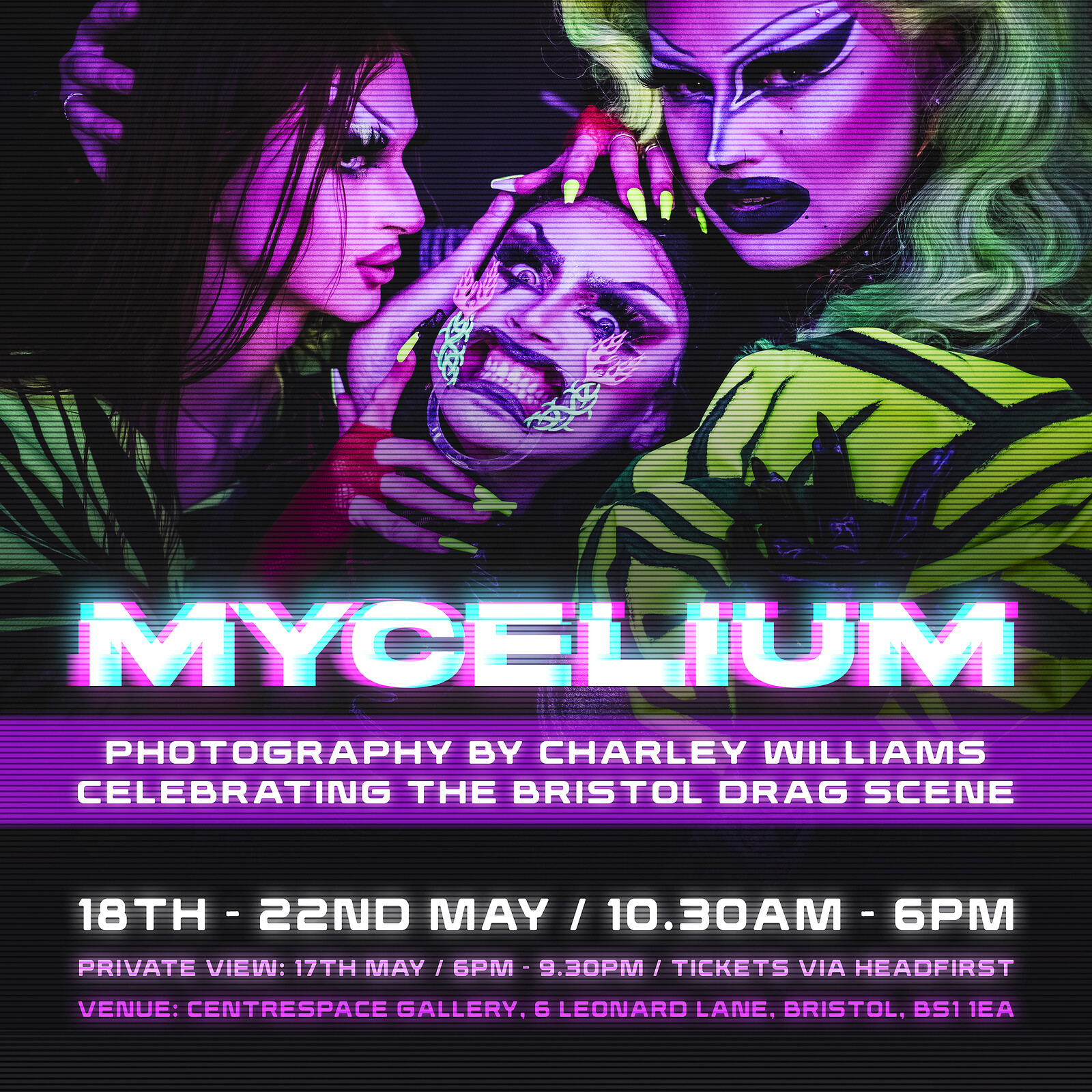 MYCELIUM: Private View at Centrespace Gallery
