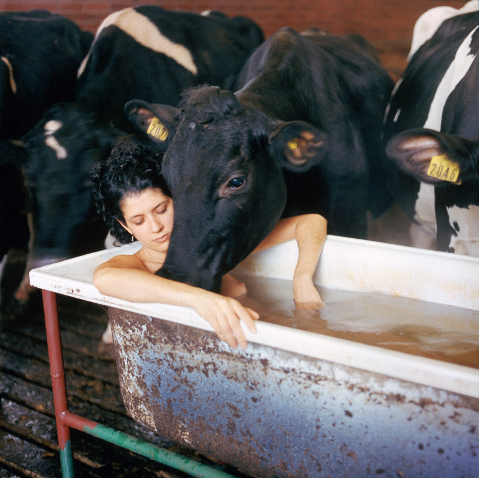 Acts of Creation: On Art and Motherhood at Arnolfini