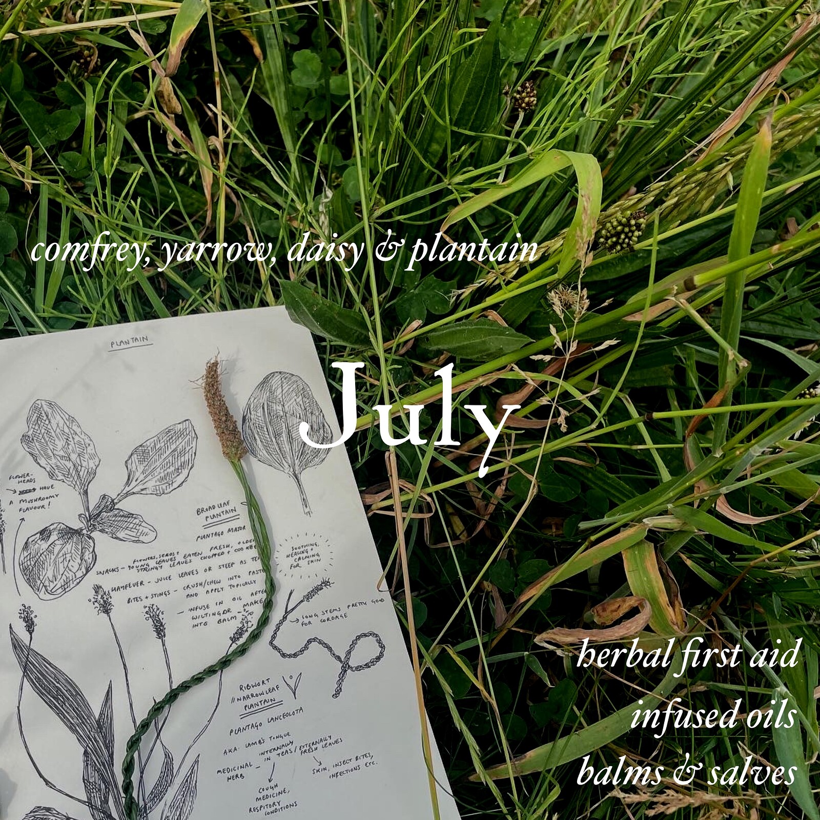 Creative Foraging - herbal first aid, oils & balms at Conham River Park, BS15 3AW