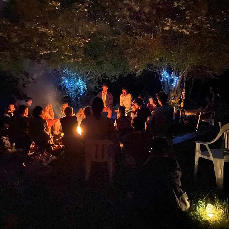 Wander Gather: Bring a bowl at Springfield Allotments