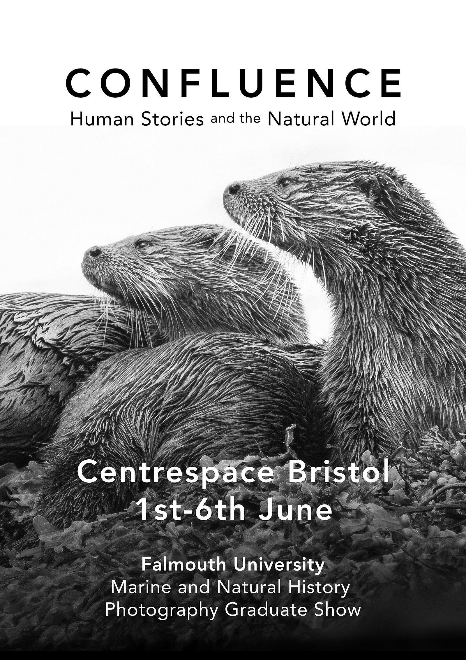 Confluence at Centrespace Gallery