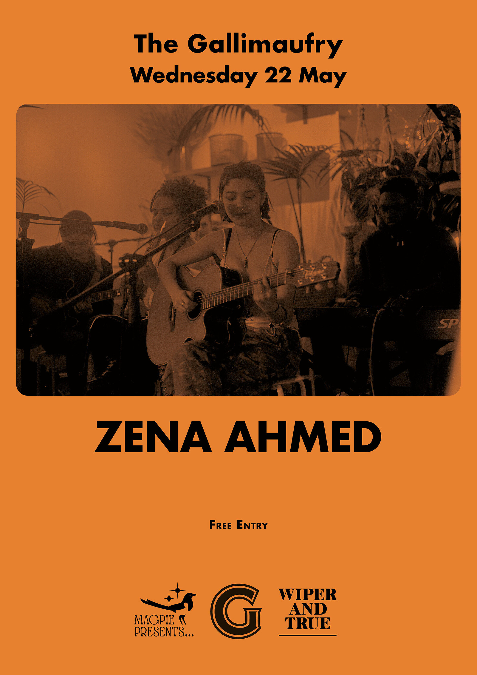 Zena Ahmed at The Gallimaufry