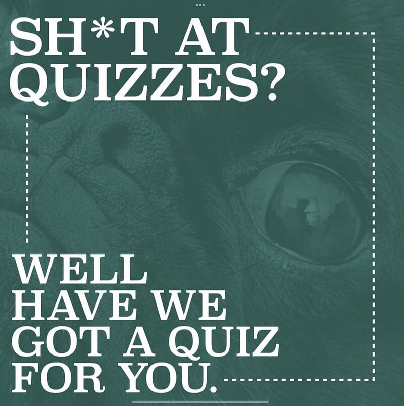 Questionable Quizzes at Cloak