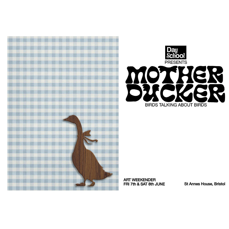 Mother Ducker Opening Night at St Anne's House