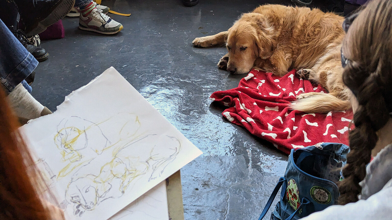 Dog Life Drawing at KIT FORM, 39 Jamaica Street, Bristol, BS2 8JP
