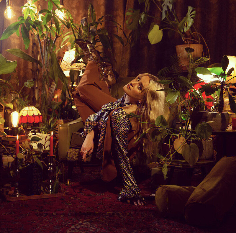 Amy Matthews: Commute with the Foxes at The Room Above