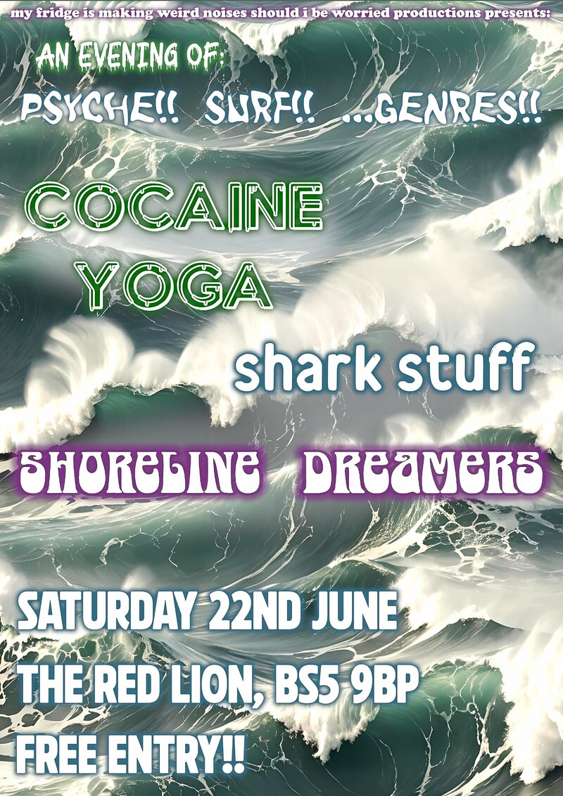 Cocaine Yoga//shark stuff//shoreline dreamers at The lion bs5