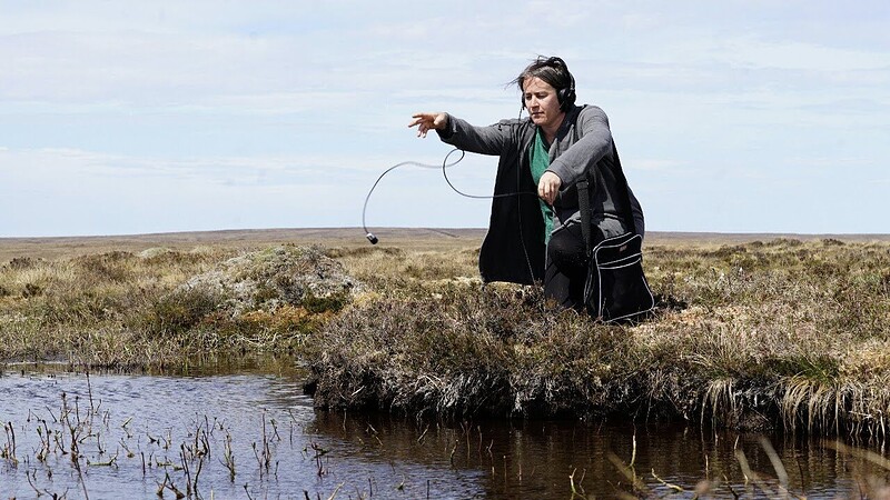 'Underwater Listening' Workshop at Windmill Hill City Farm
