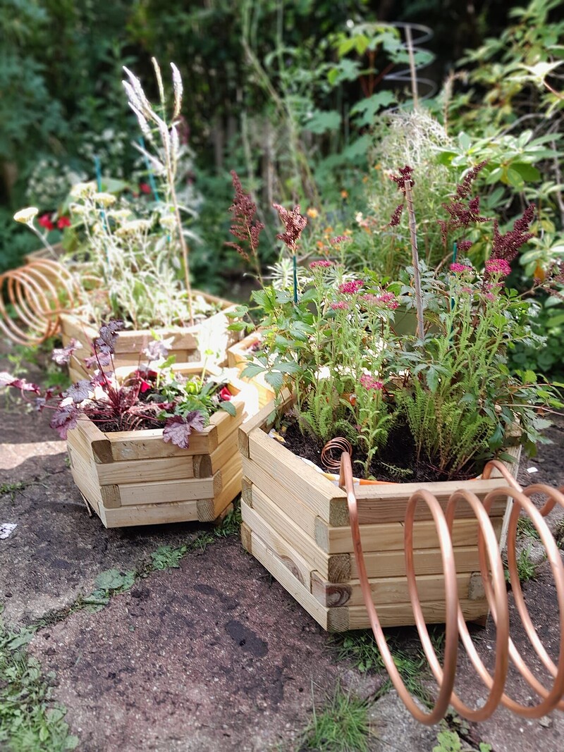 Performance: Radio Garden Improvisation at Windmill Hill City Farm