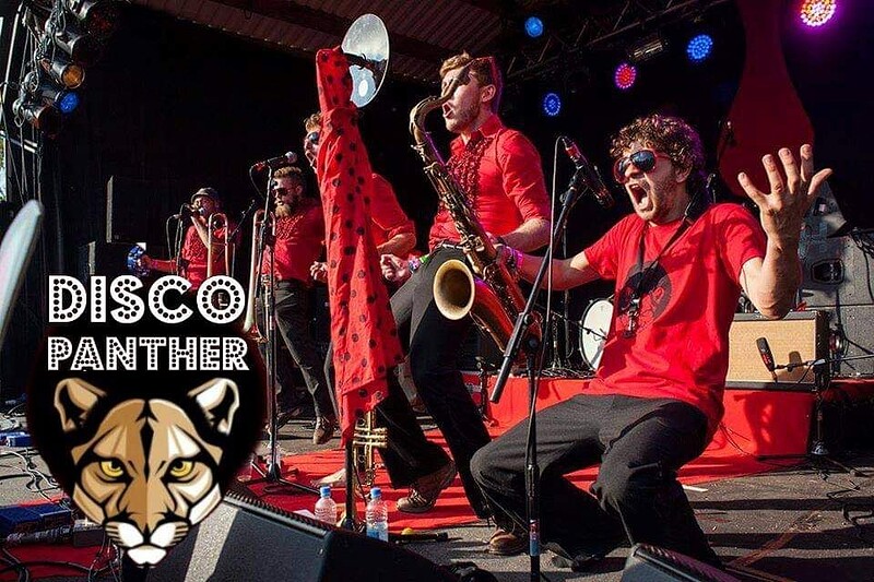 Disco Panther at Mr Wolfs