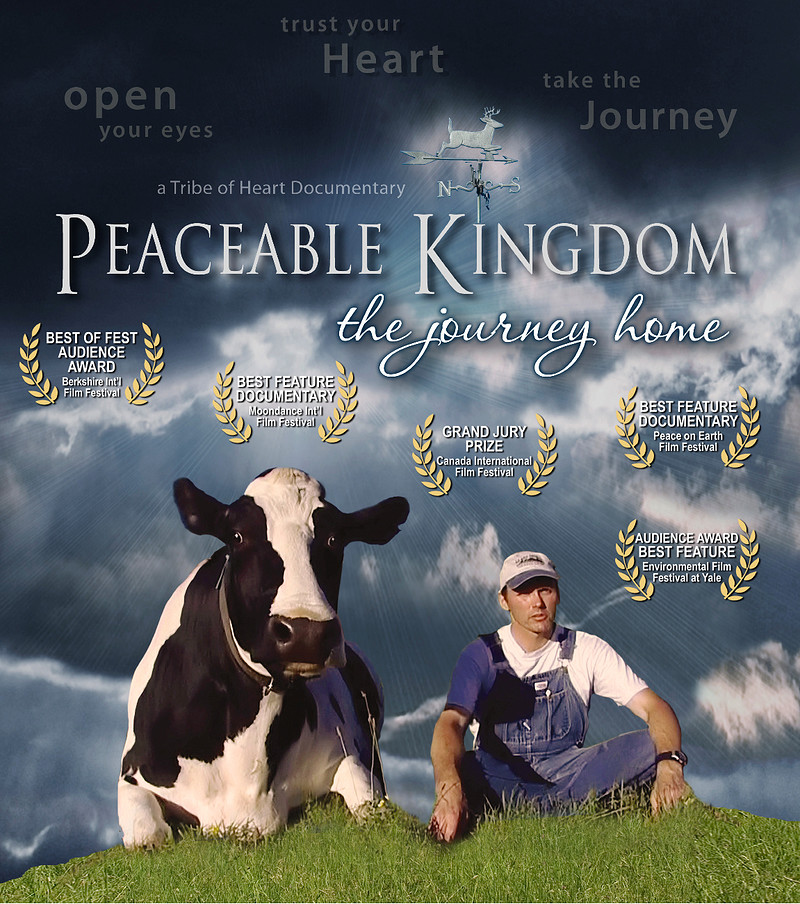 Vegucate Bristol Film Series at Polish Club