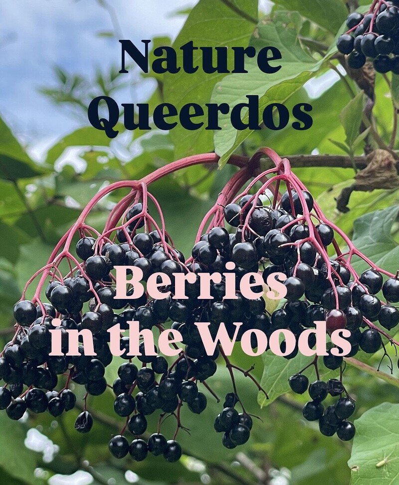Nature Queerdos: Berries in the Woods at Manor Woods