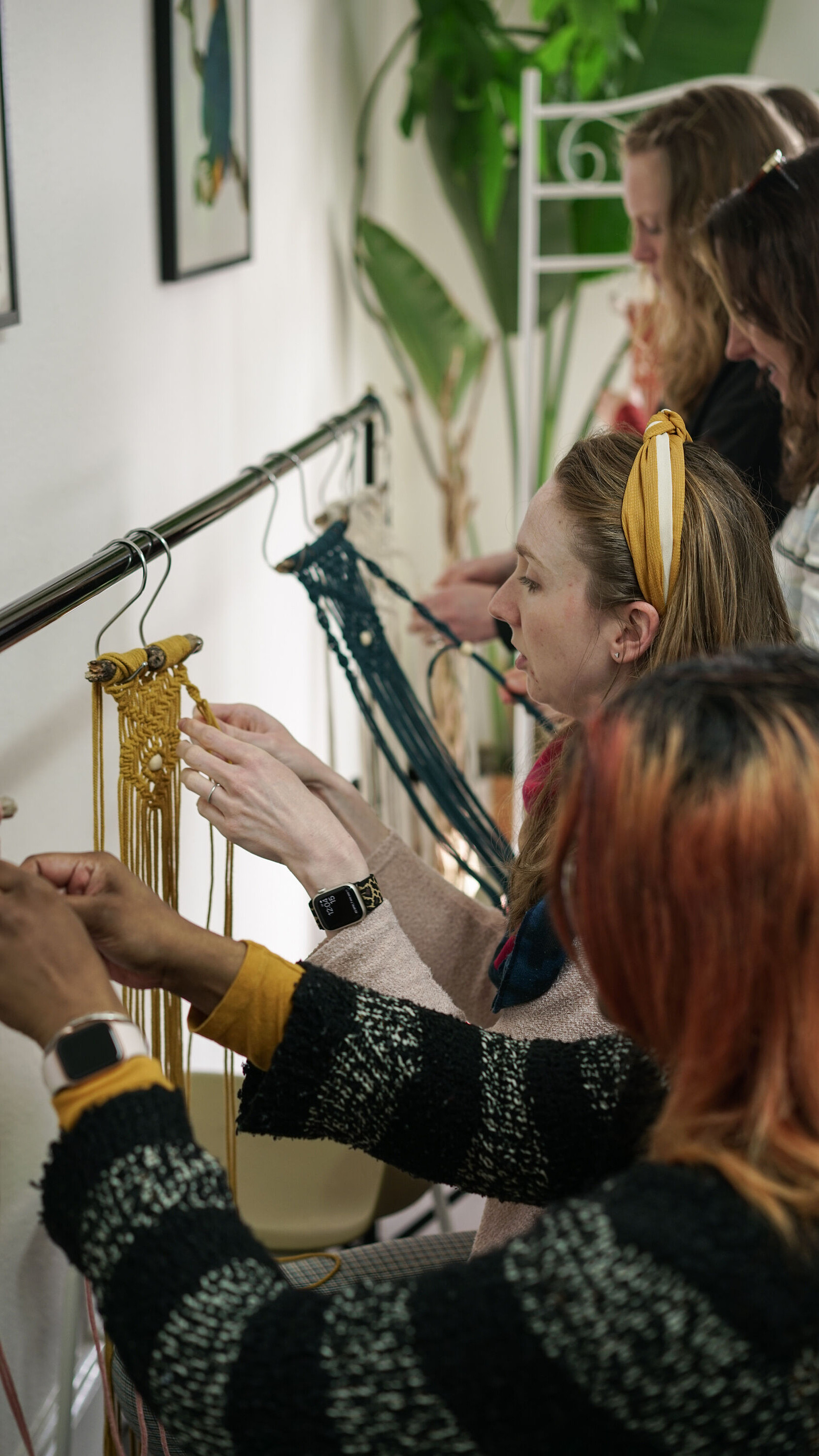 Make a Driftwood Macramé Plant Hanger at Prior Shop