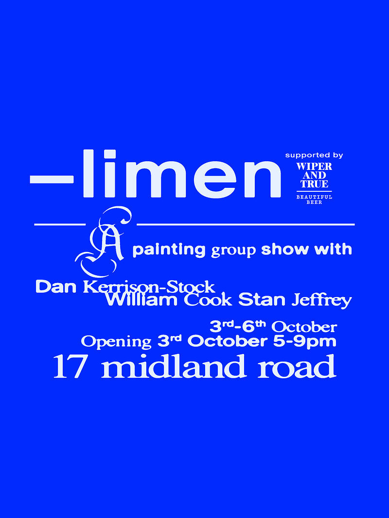 Limen - painting show — Opening Night at 17 Midland Road