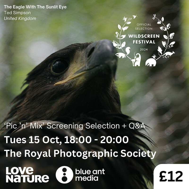 'Pick n Mix' Wildlife Film Screening + Q&A at Royal Photographic Society
