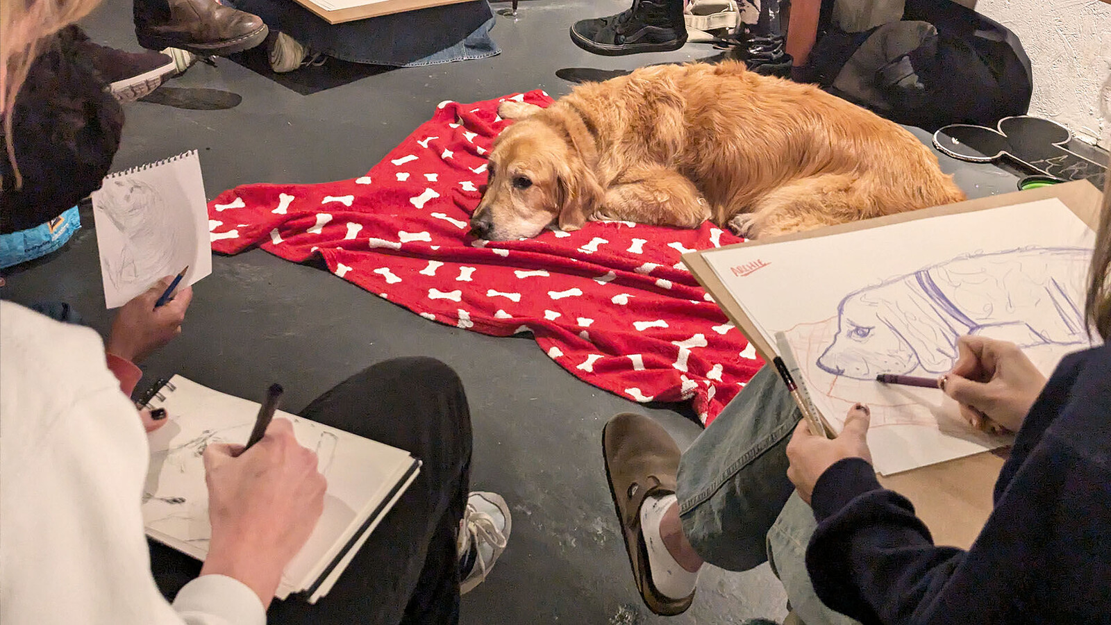 Life Drawing with Dogs - March Evening Class at KIT FORM