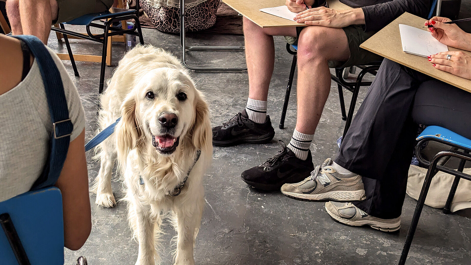 Life Drawing with Dogs - April Sunday Class at KIT FORM