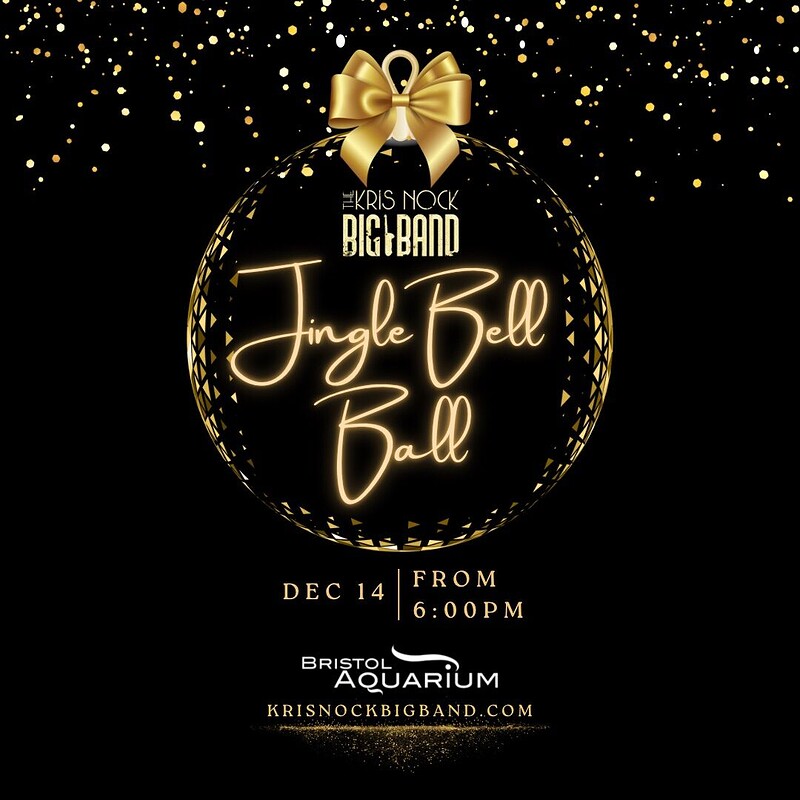 Kris Nock Big Band’s Jingle Bell Ball at Bristol Aquarium