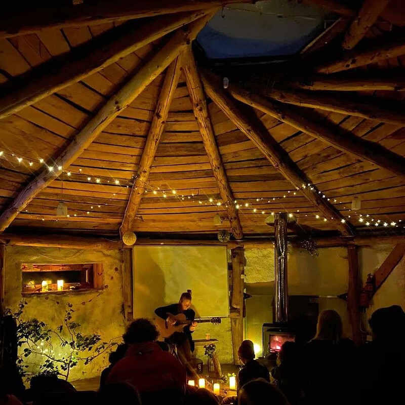Winter Solstice at Springfield allotments
