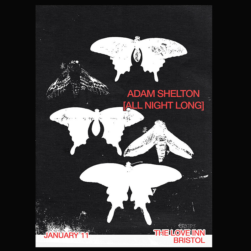 Adam Shelton at The Love Inn