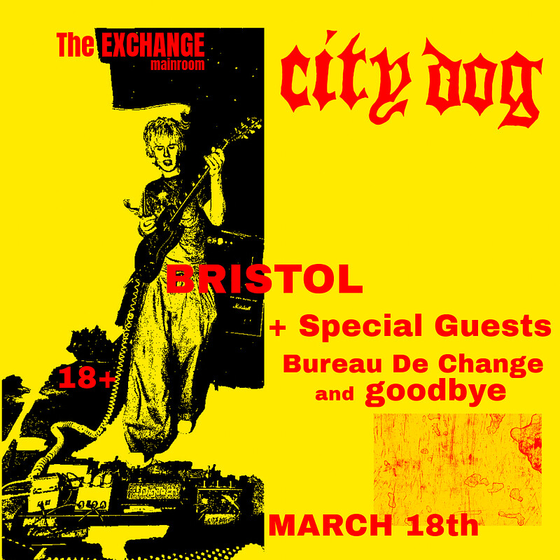 City Dog at Exchange