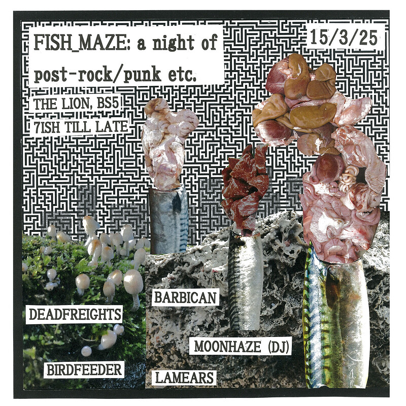 a night of post-rock/punk etc at The Lion, BS5