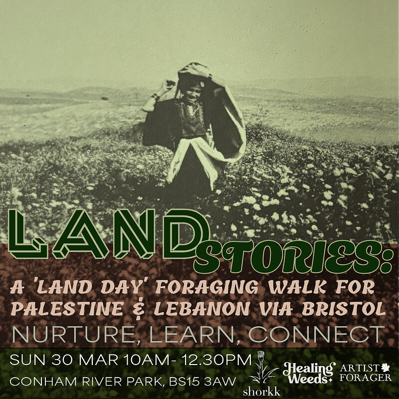 Land Stories: Foraging & Reconnection on Land Day at Conham River Park