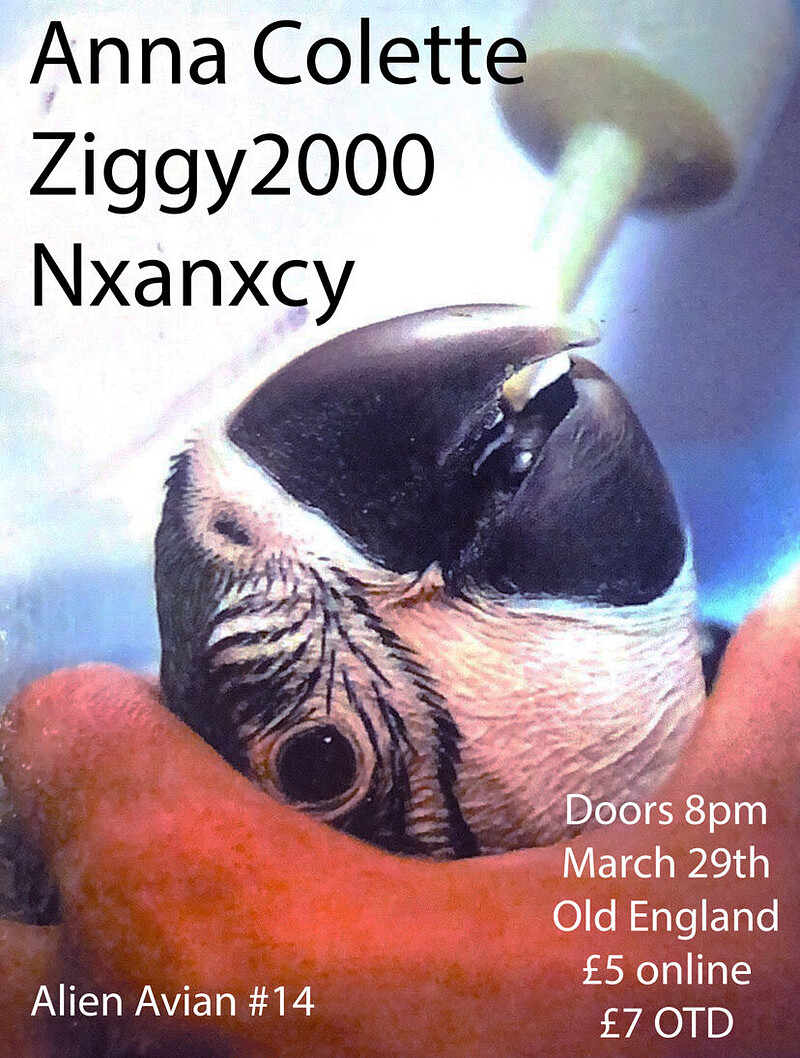 Anna colette, Bert Usherr, Nxanxcy at The Old England Pub