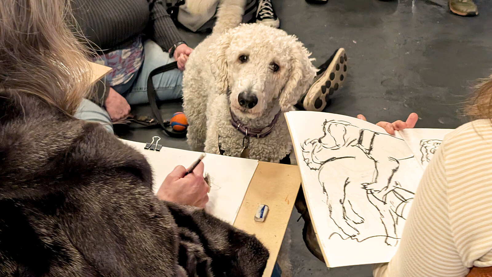 Life Drawing with Dogs at Wiper & True Taproom, Unit 11, City Business Park, St Jude's, Bristol BS5 0SP