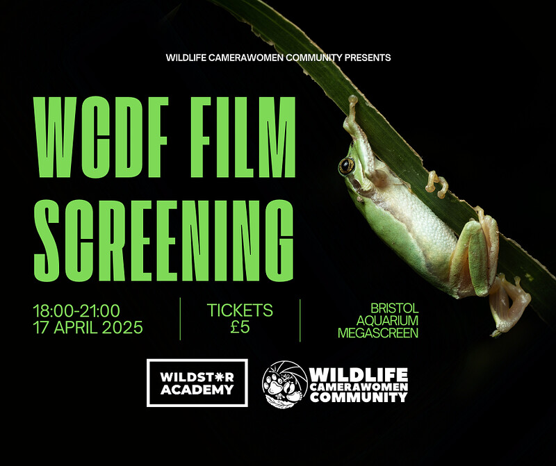 FILM SCREENING: Wildlife Camerawomen Community at Bristol Aquarium Megascreen