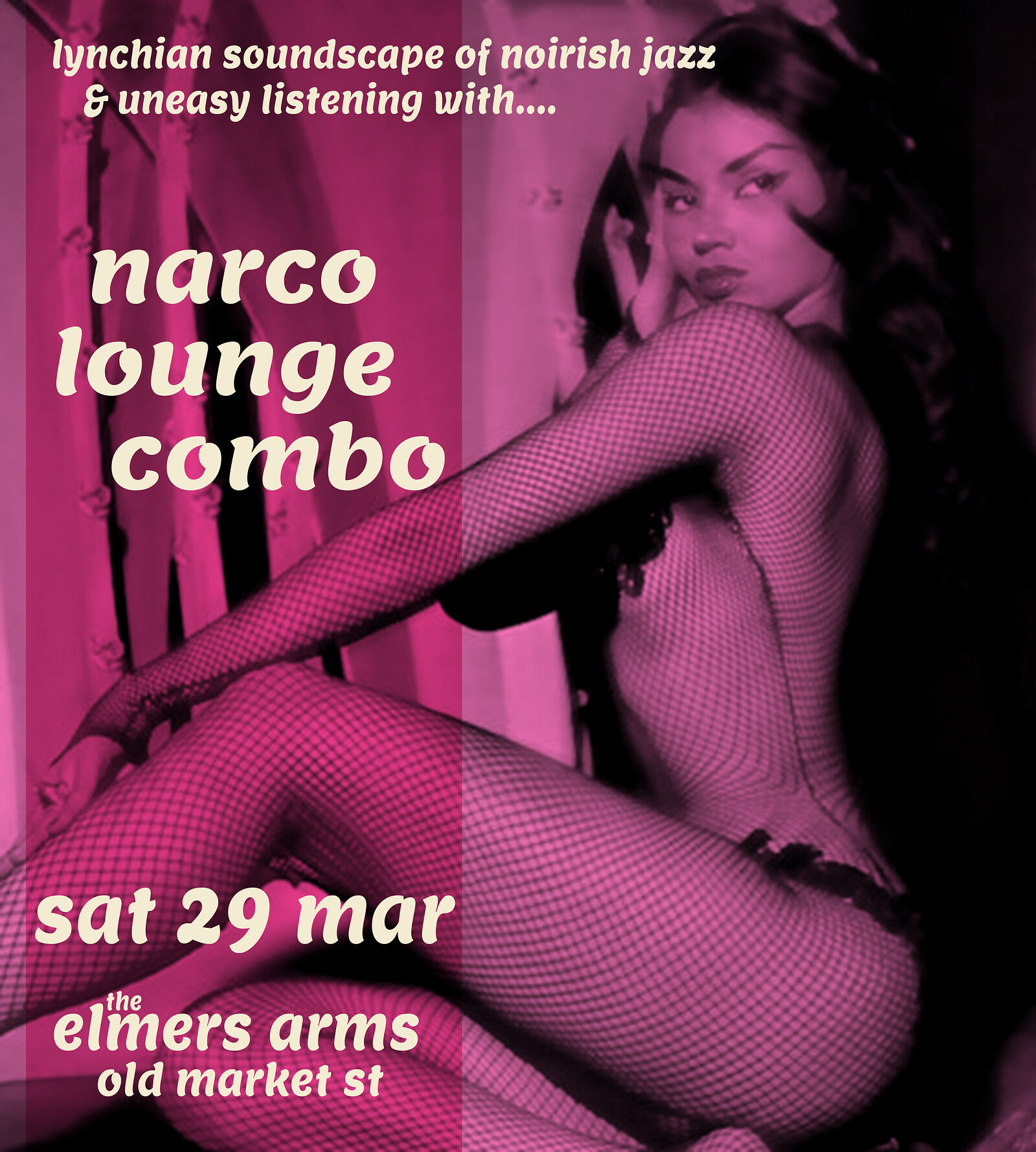 Narco Lounge Combo at The Elmer's Arms
