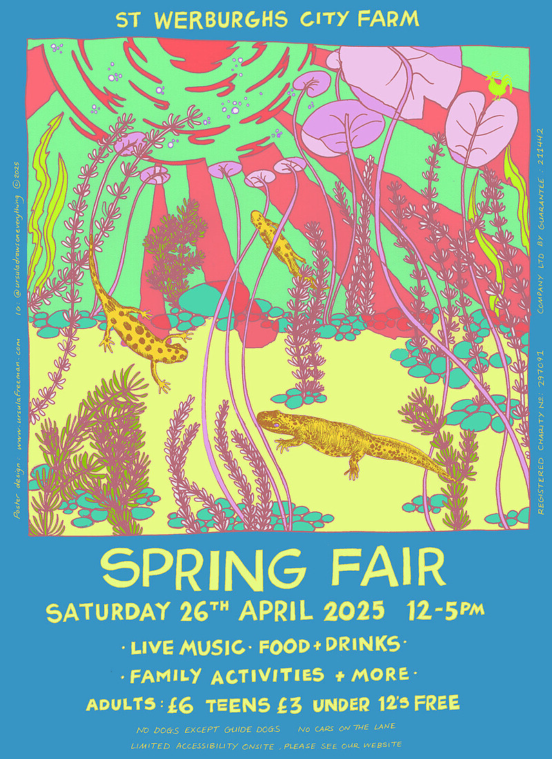 St Werburghs City Farm Spring Fair 2025 at Boiling Wells Amphitheatre at St Werburghs City Farm