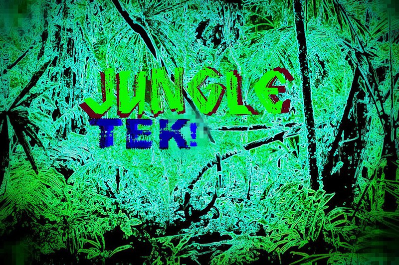 Jungle Tek at Club Cavern