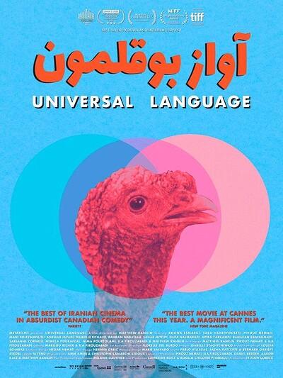 Universal Language - 8pm at The Cube