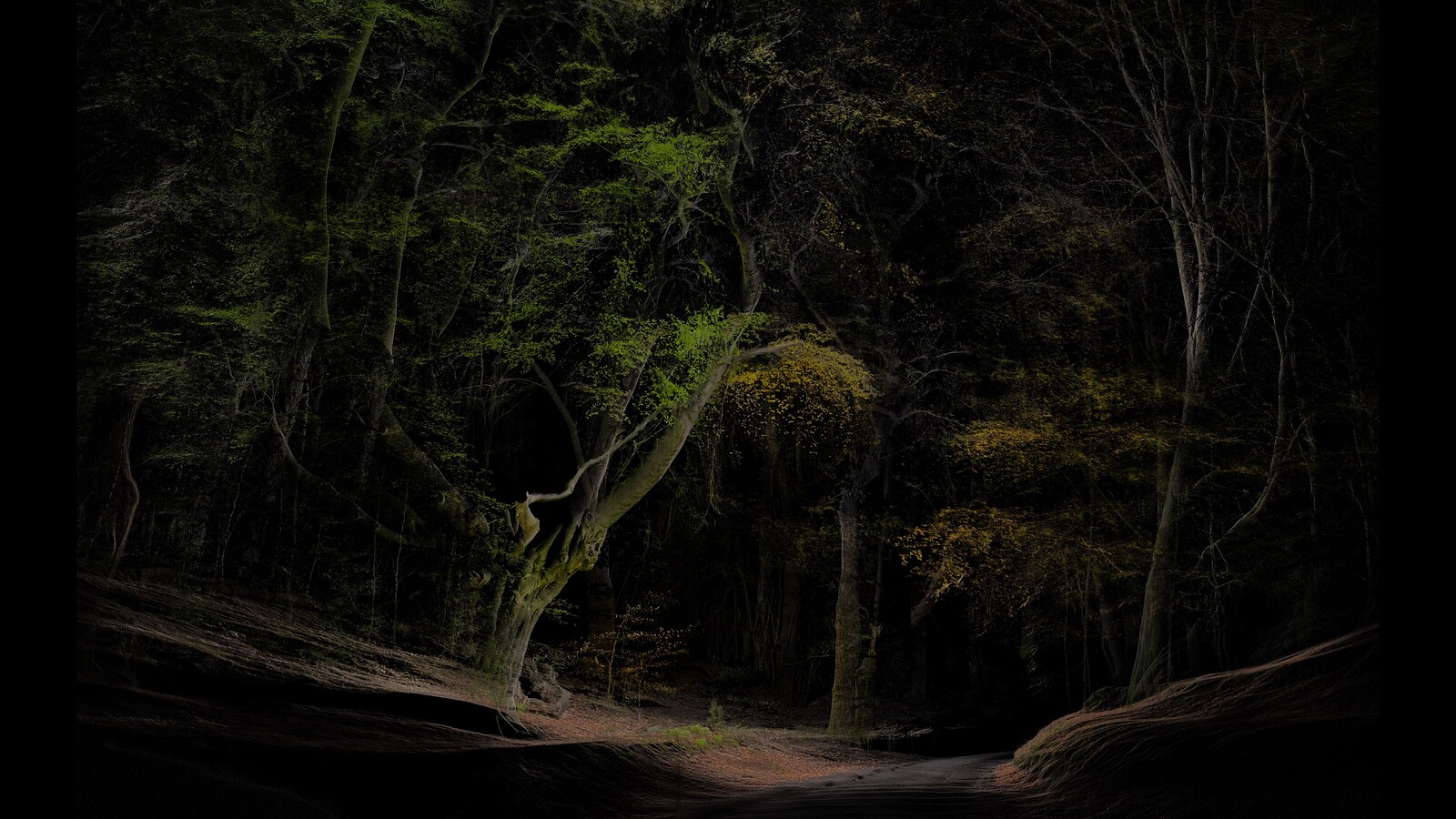 FRAMERATE: Pulse of the Earth at Watershed