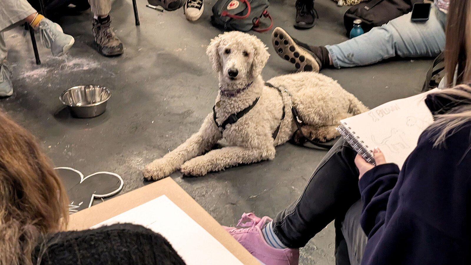 Life Drawing with Dogs at Wiper & True Taproom, Unit 11, City Business Park, St Jude's, Bristol BS5 0SP