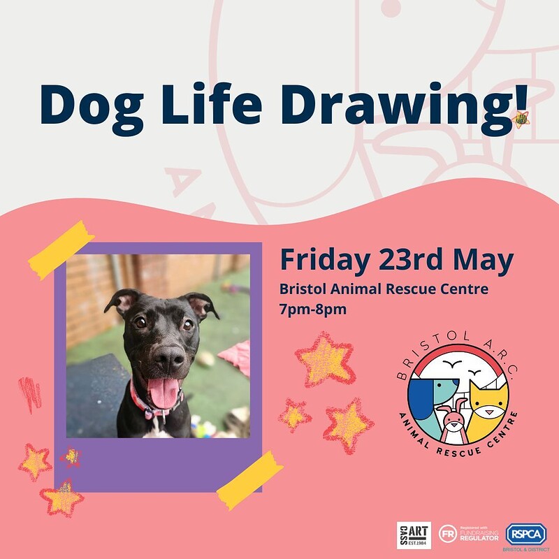 Dog Life Drawing with Bristol A.R.C at Bristol Animal Rescue Centre