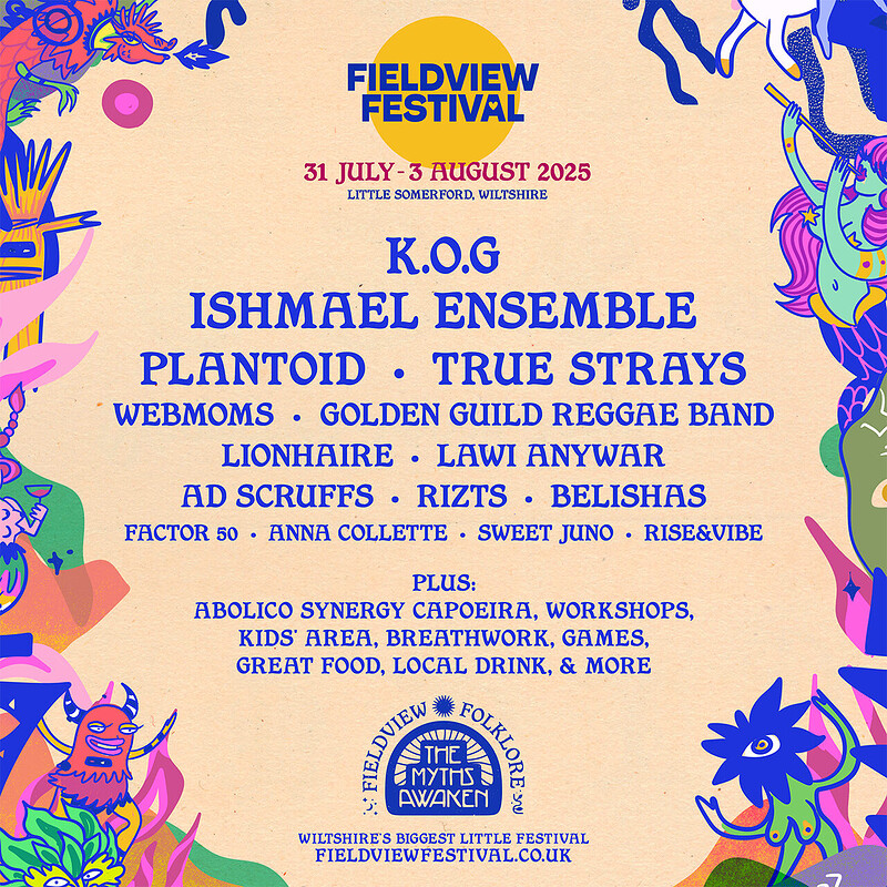 Fieldview Festival 2025 at Fieldview Festival 2025