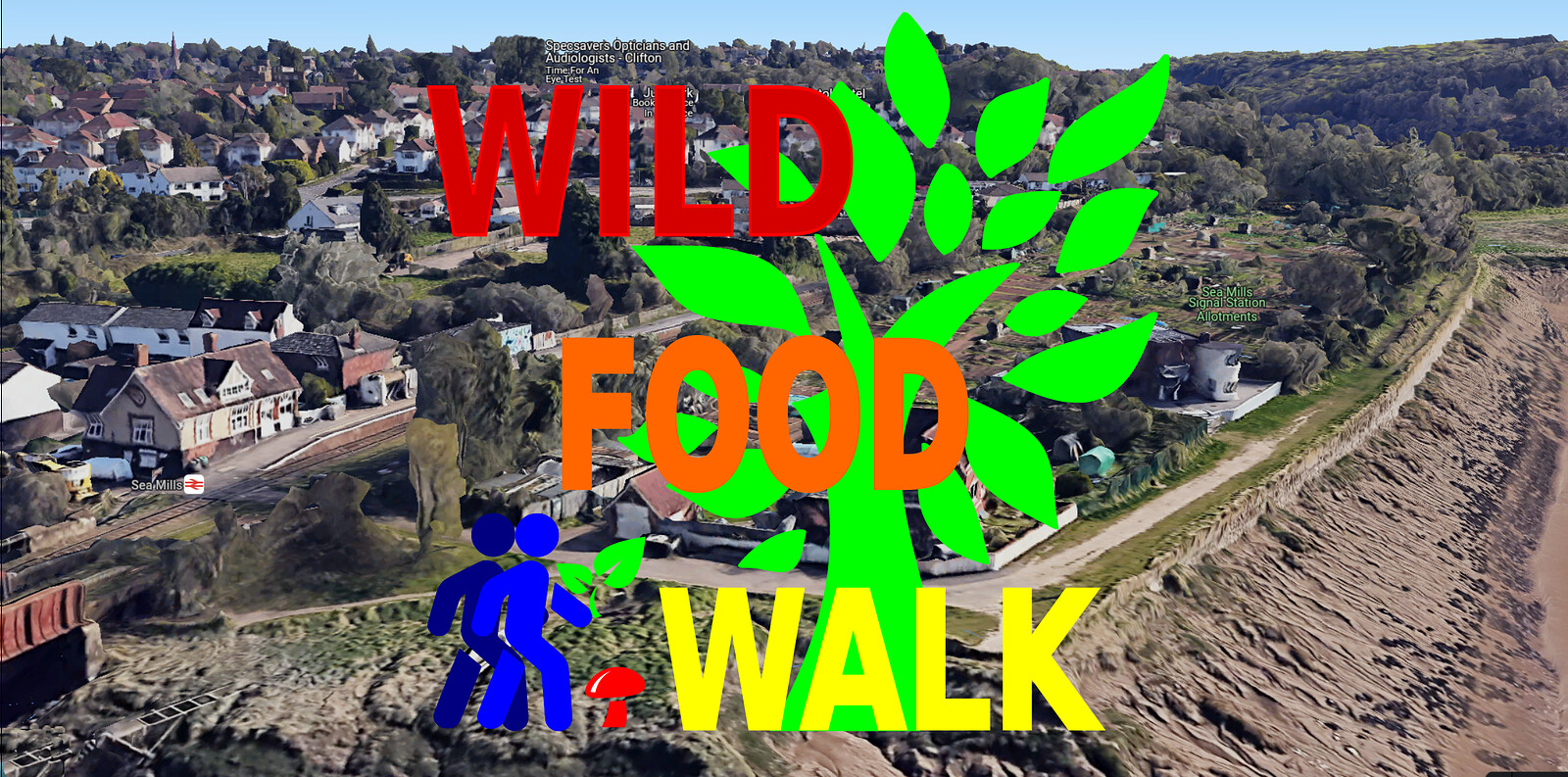 Sea Mills  Wild Food Foraging Walk at The Avon Gorge