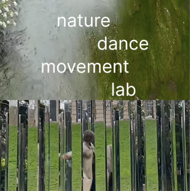 Nature dance movement lab at Brandon Hill
