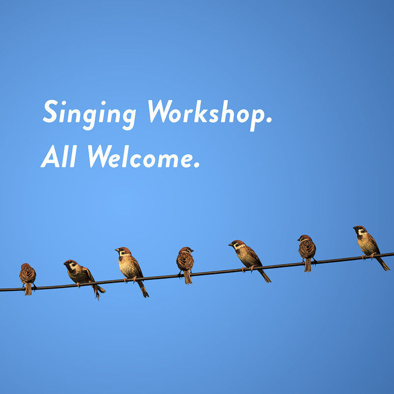 Heartwood Chorus Singing Workshop at The Harbour Totterdown